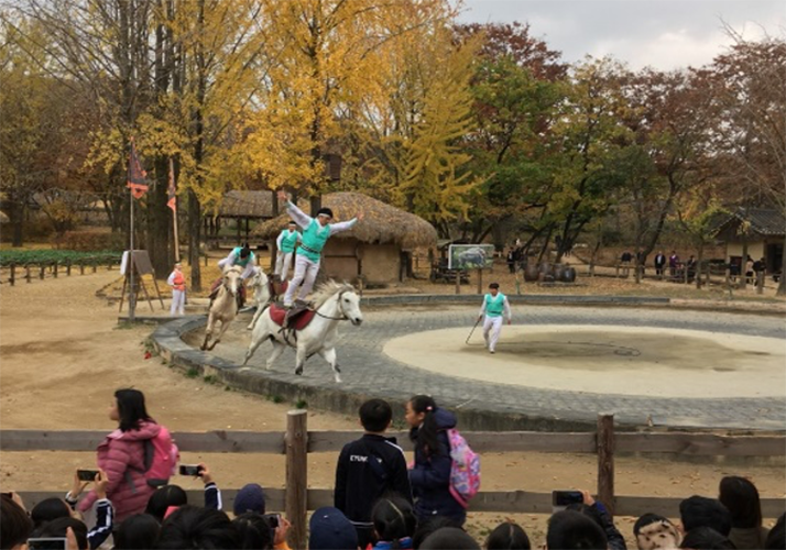 사진